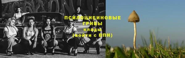 прущая мука Богородицк