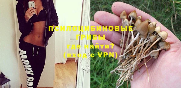 винт Белоозёрский